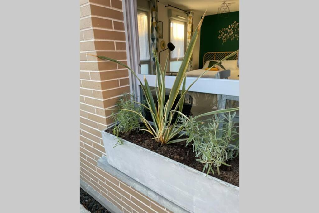 Minimes, Studio Cosy Tout Confort, Wifi, Parking Apartment Toulouse Exterior photo